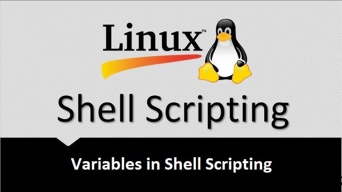 Variables in Shell Scripting | Shell Scripting tutorial